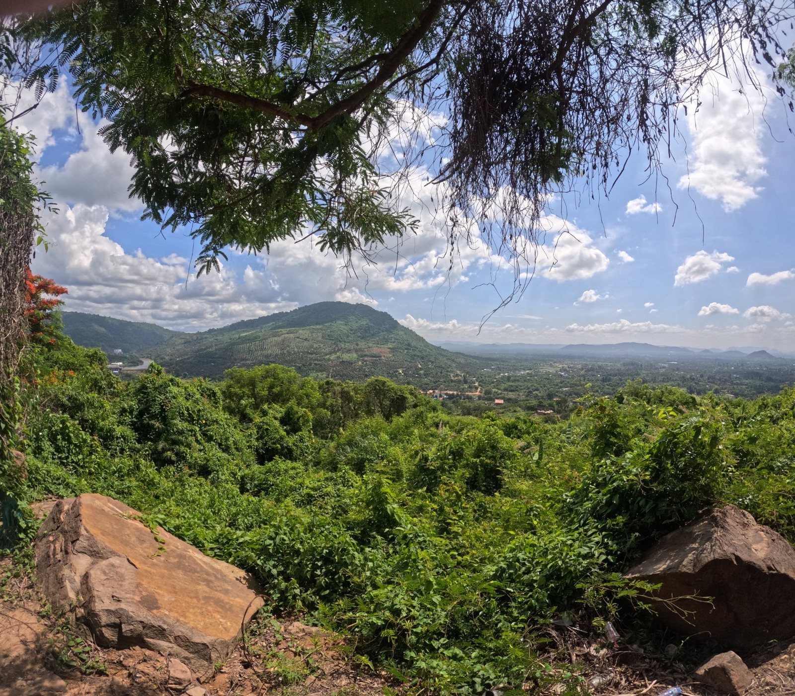 Point de vue naturel et paysage de montagne